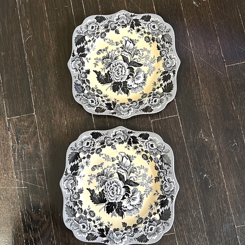 Stunning Pair of Spode Dishes